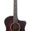 Taylor 224ce-K Deluxe Grand Auditorium #2204155335