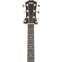 Taylor 224ce-K Deluxe Grand Auditorium #2204155335
