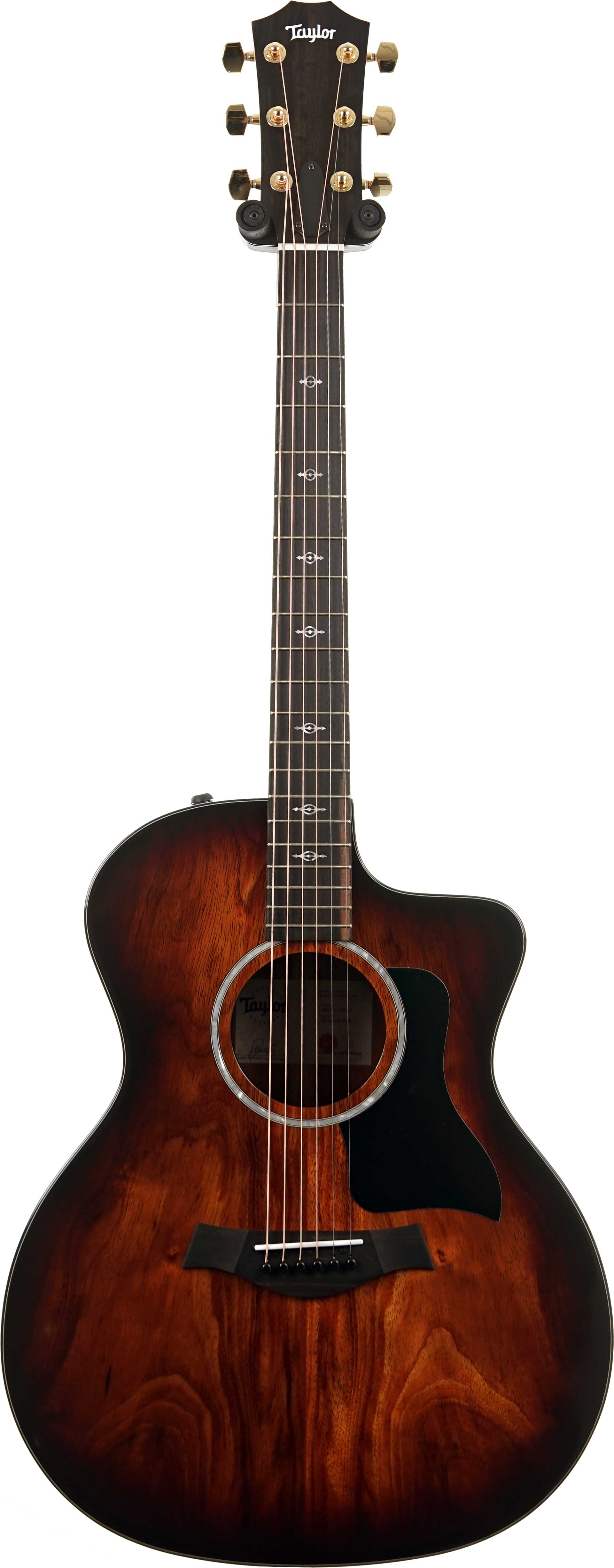 Taylor 224ce-K Deluxe Grand Auditorium #2205155300