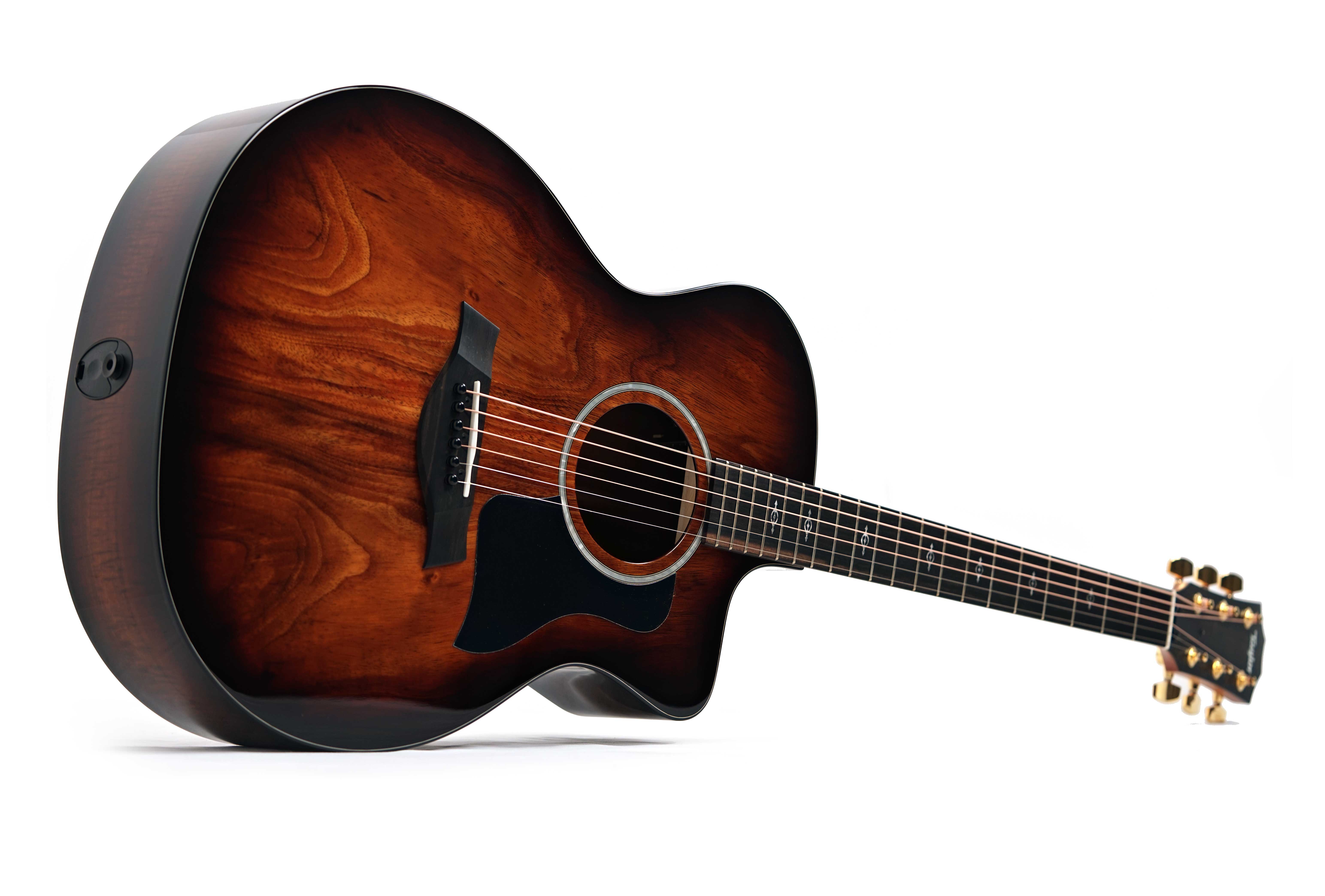 Taylor 224ce-K Deluxe Grand Auditorium #2205155300