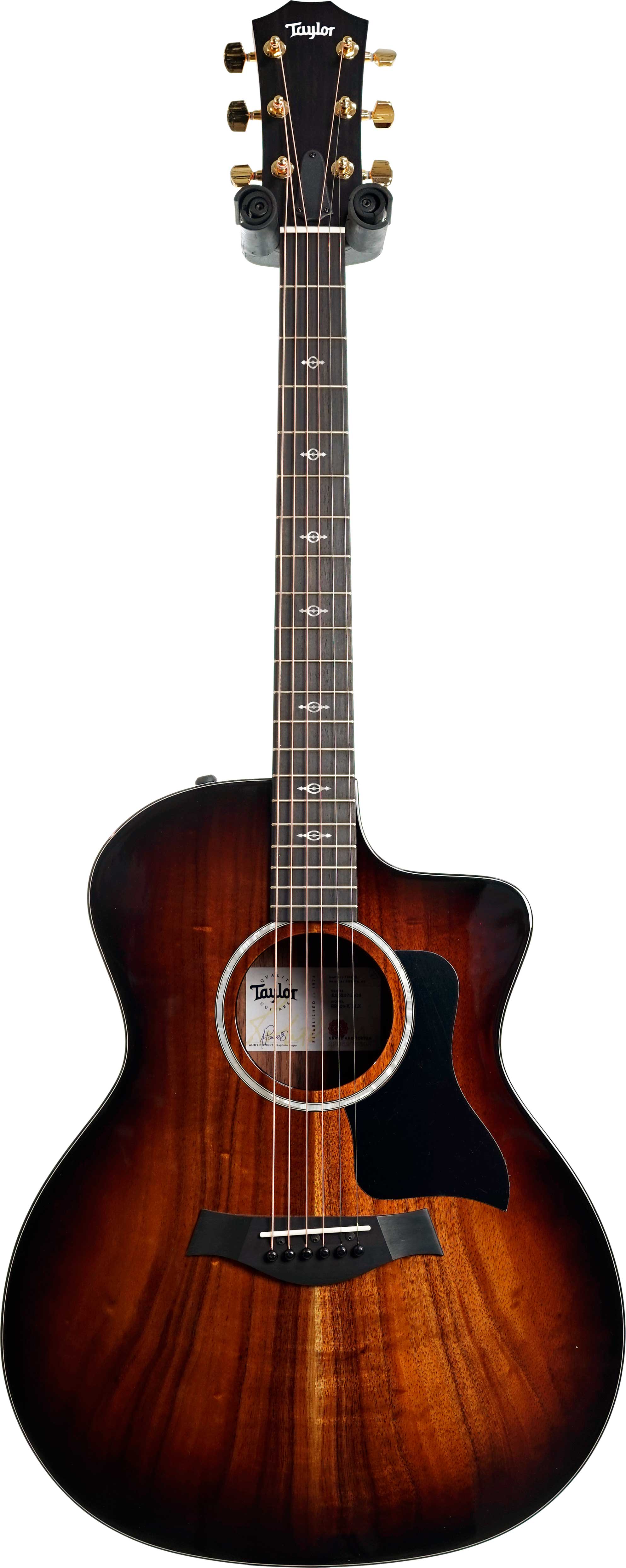 Taylor 224ce-K Deluxe Grand Auditorium #2205275308