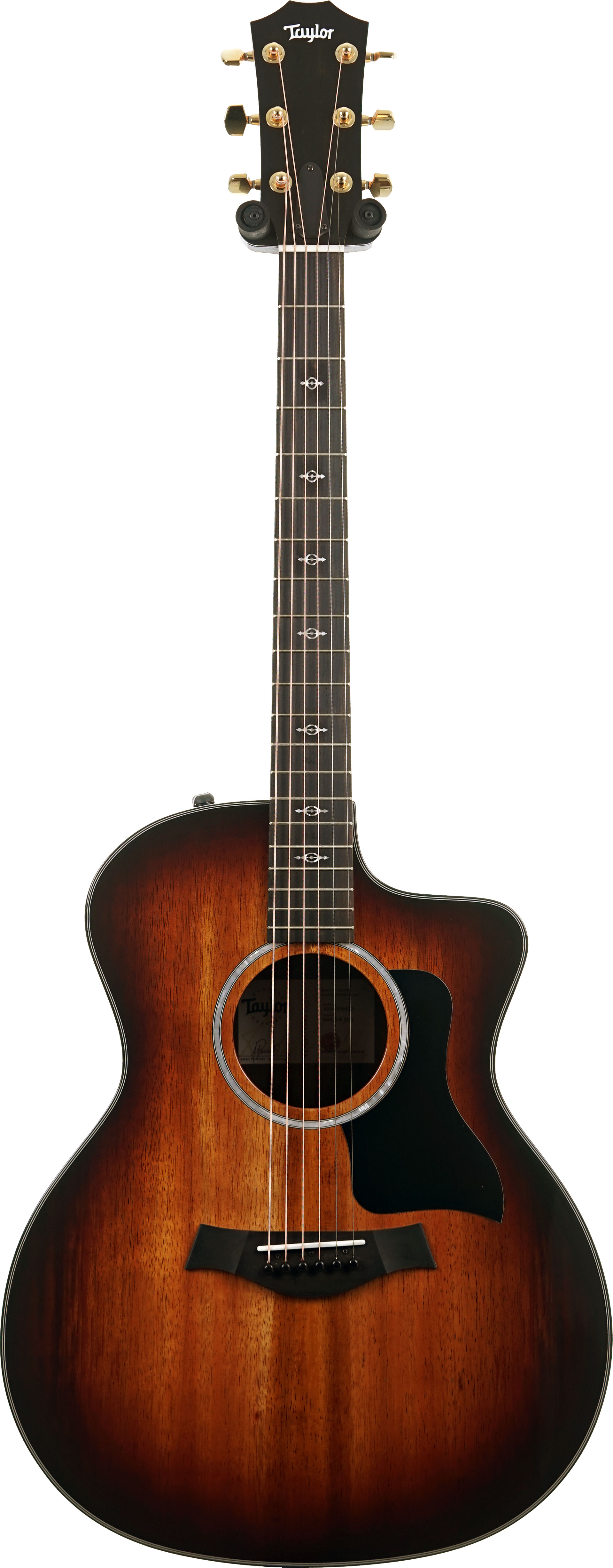 Taylor 224ce-K Deluxe Grand Auditorium #2205305423
