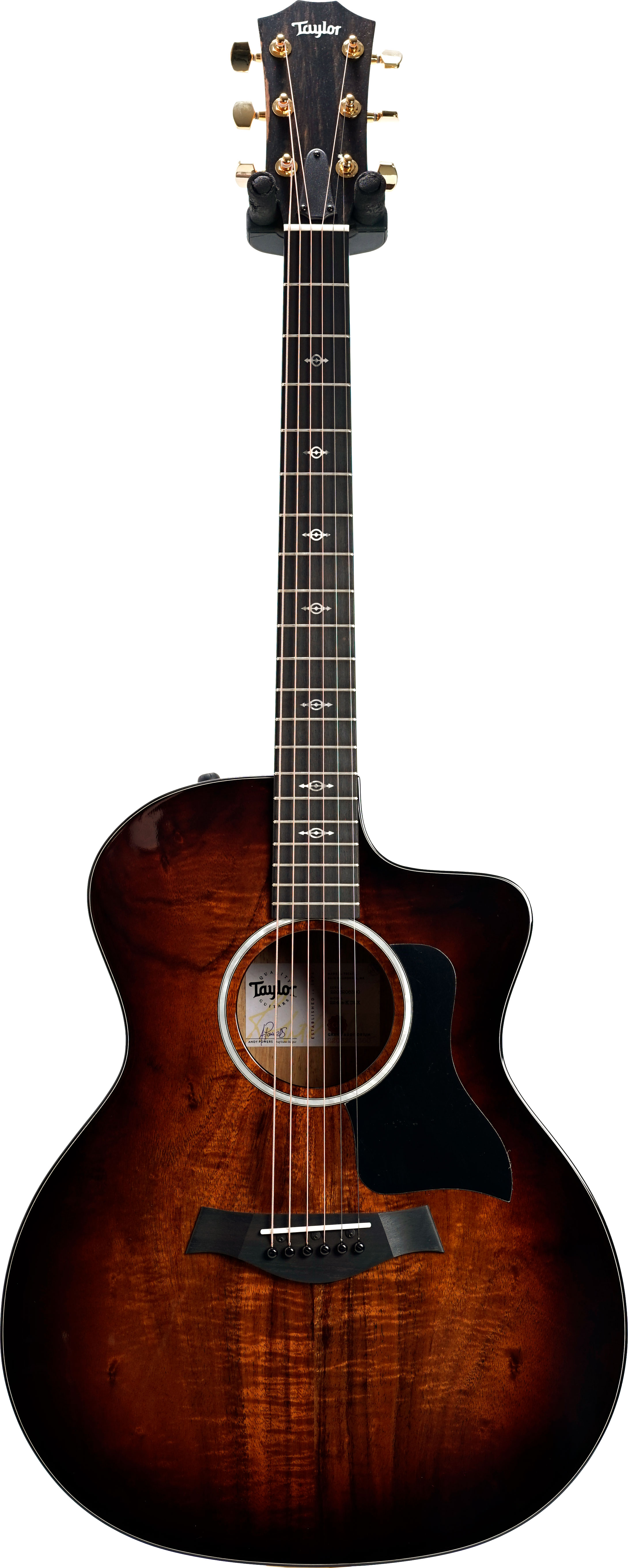 Taylor 224ce-K Deluxe Grand Auditorium #2203206360