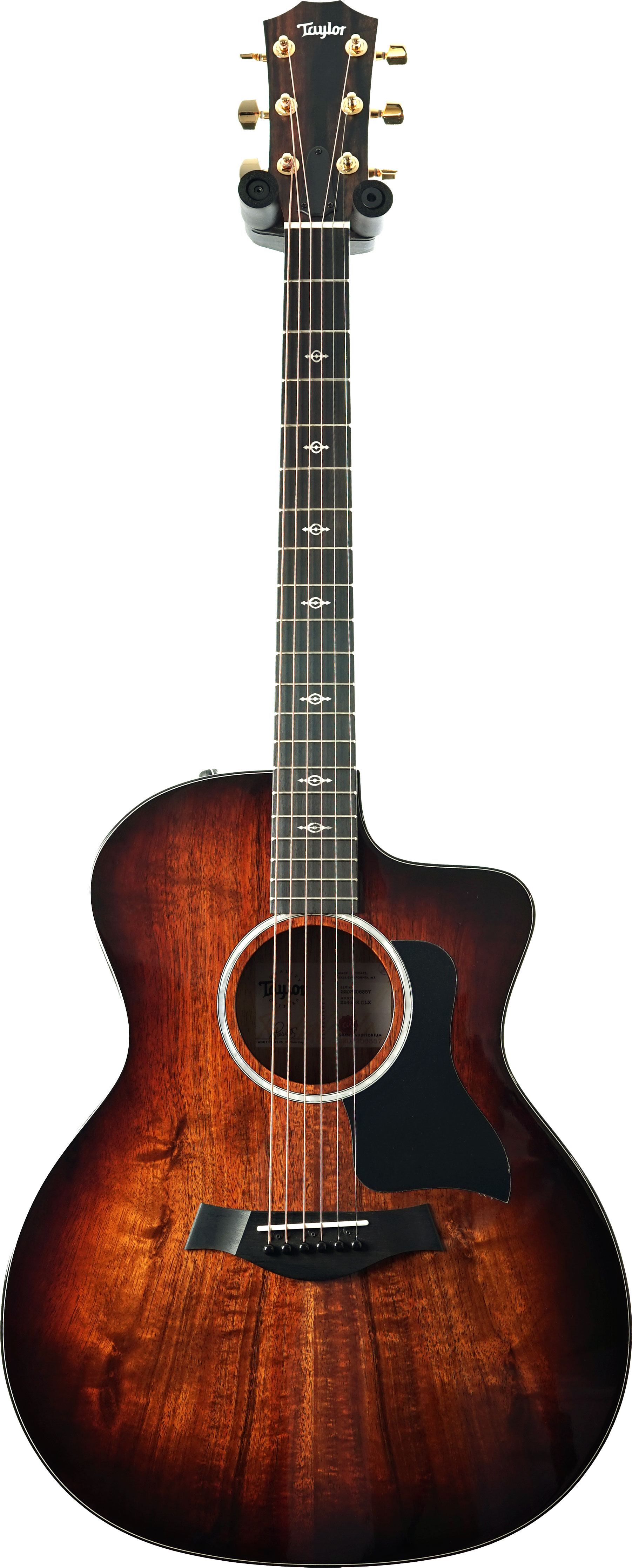 Taylor 224ce-K Deluxe Grand Auditorium #2203206357