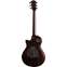 Taylor T5z Classic Rosewood Back View