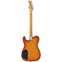 Vintage Revo Series Trio Guitar Honeyburst Back View