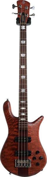Spector Euro 4 Roasted Sienna Stain (Ex-Demo) #NB19946