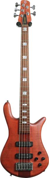 Spector Euro 5 Roasted Sienna Stain