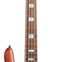 Spector Euro 5 Roasted Sienna Stain 