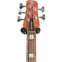 Spector Euro 5 Roasted Sienna Stain 