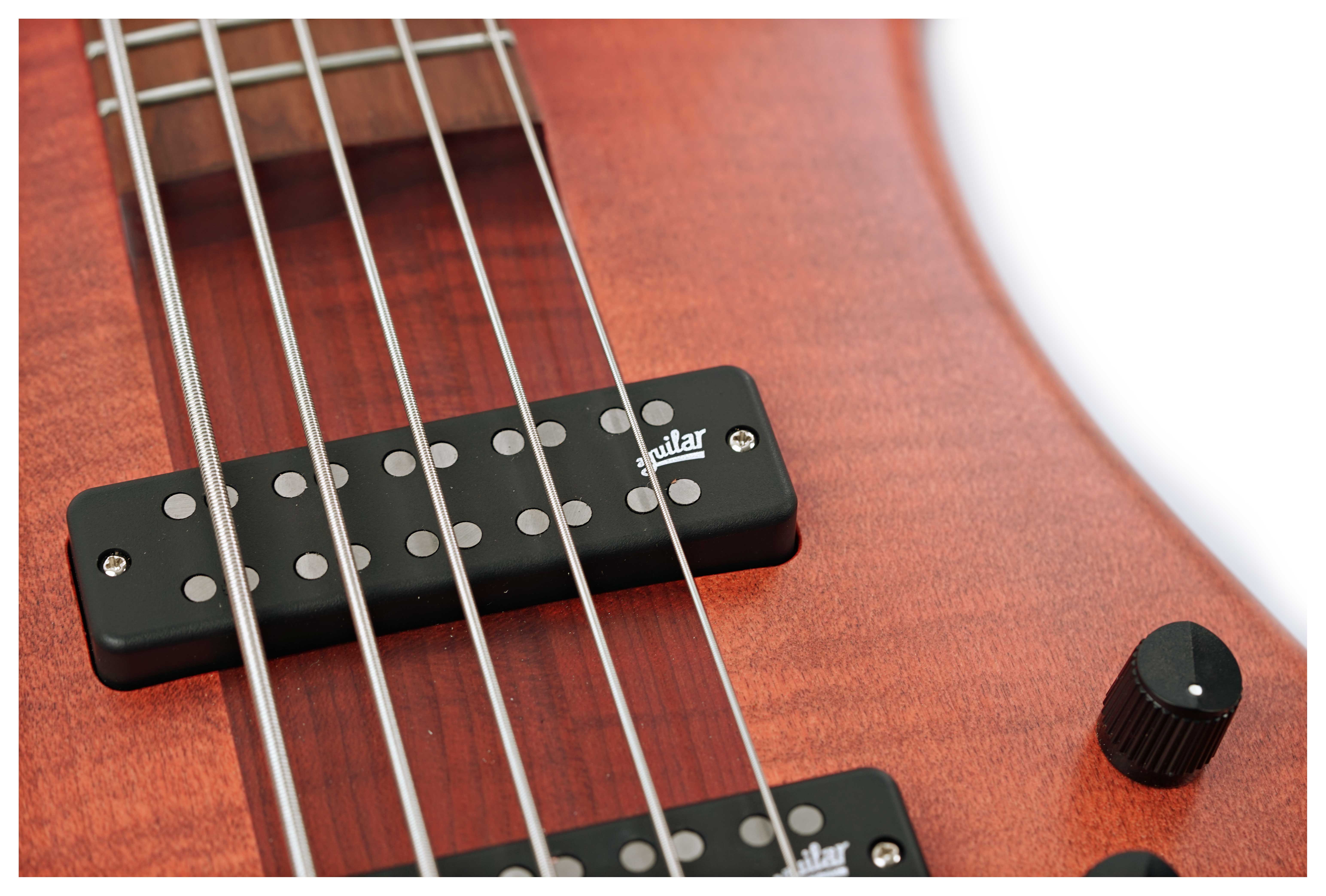 Spector Euro 5 Roasted Sienna Stain