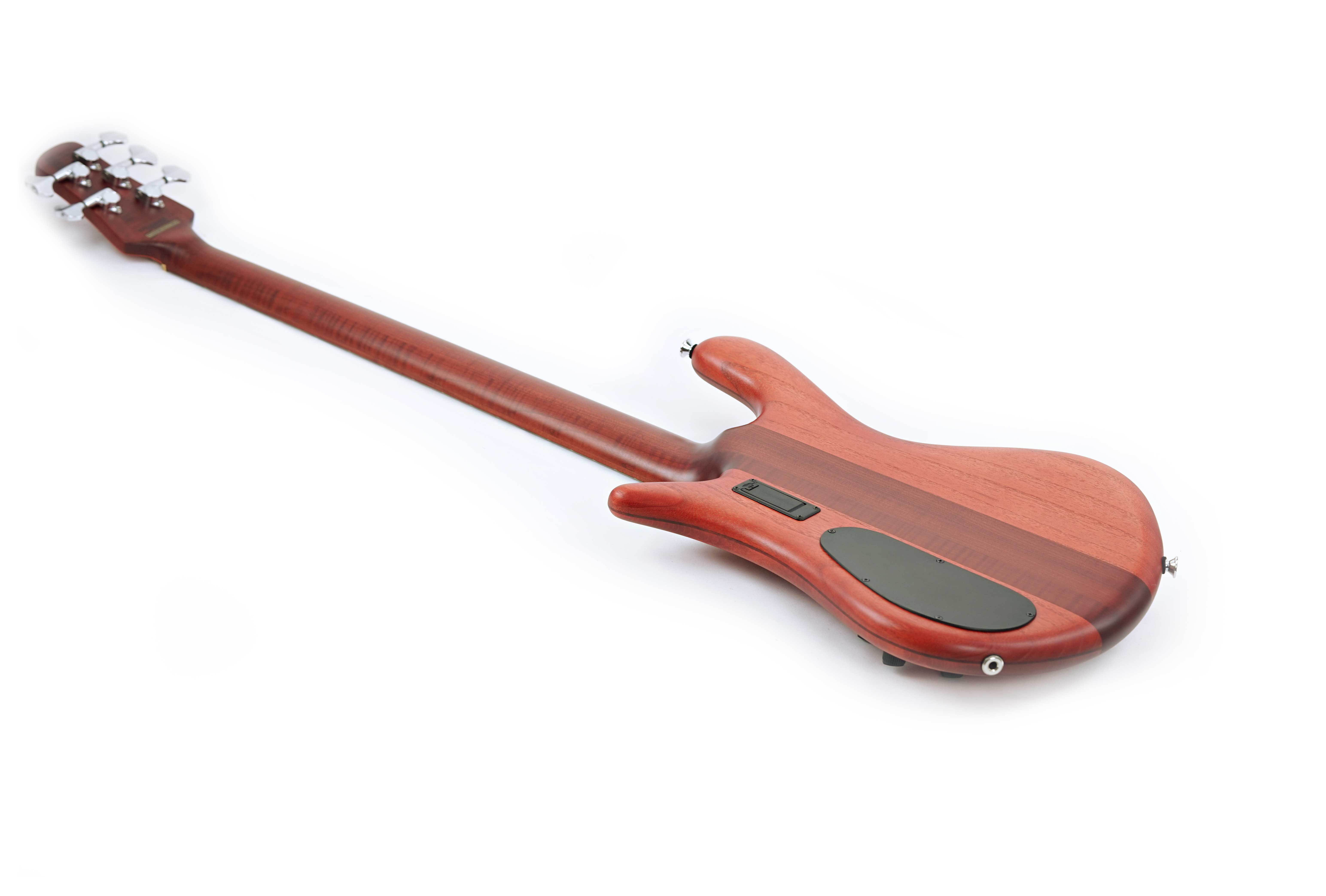 Spector Euro 5 Roasted Sienna Stain