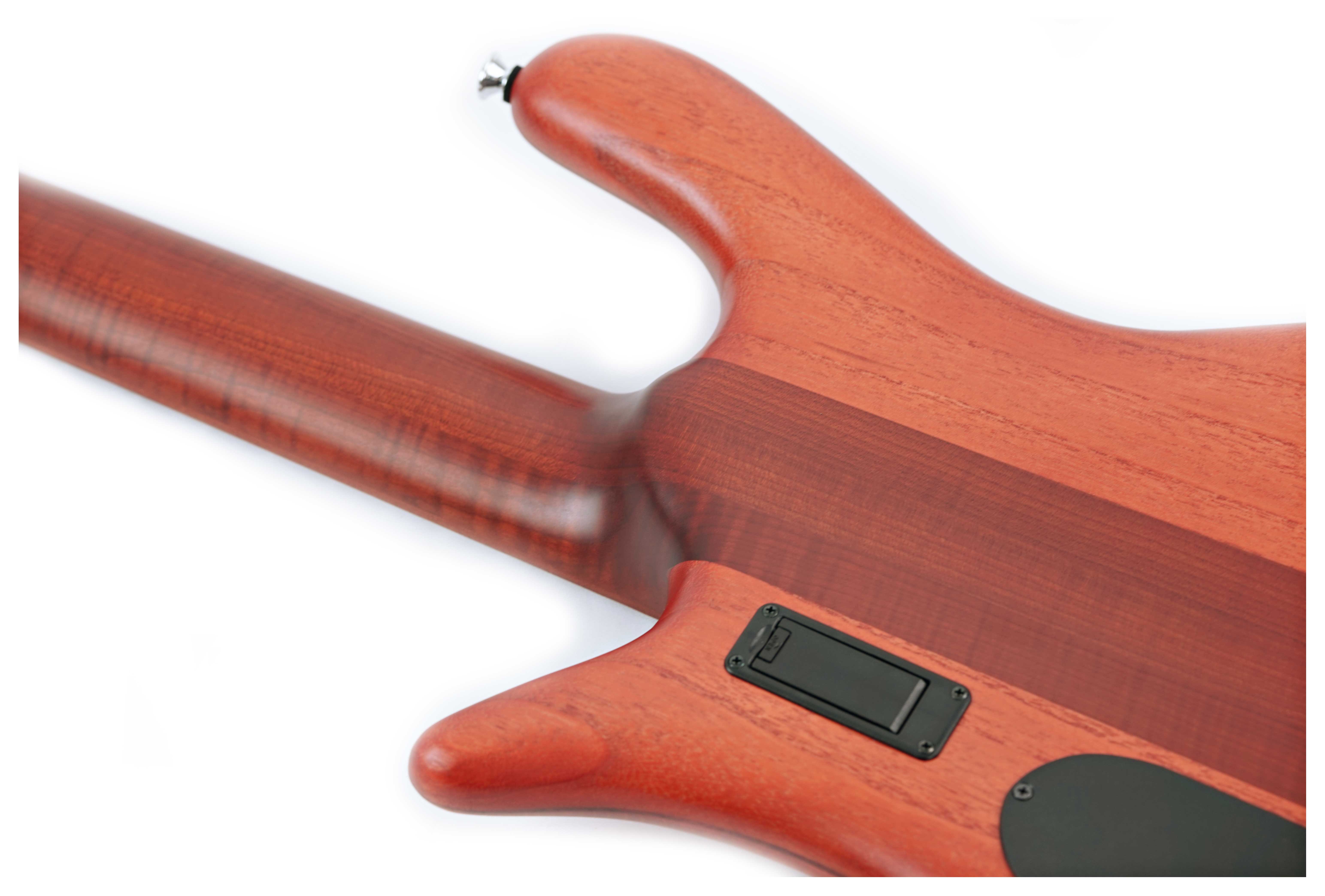 Spector Euro 5 Roasted Sienna Stain