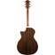 Taylor Limited Edition 414ce-R Lily/Vine Inlay SEB Back View