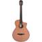 Furch GNc 4-CR Nylon Western Red Cedar/Indian Rosewood Front View