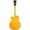 D'Angelico EXL 1 Archtop Single Cutaway Hollow Body Amber Back View