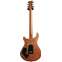 PRS Wood Library guitarguitar 20th Anniversary Modern Eagle V Yellow Tiger #0377980 Back View