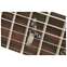 PRS Wood Library guitarguitar 20th Anniversary Modern Eagle V Yellow Tiger #0377980 Front View