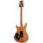 PRS Wood Library guitarguitar 20th Anniversary Modern Eagle V Yellow Tiger #0375958 Back View