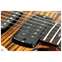 PRS Wood Library guitarguitar 20th Anniversary Modern Eagle V Yellow Tiger #0375958 Front View