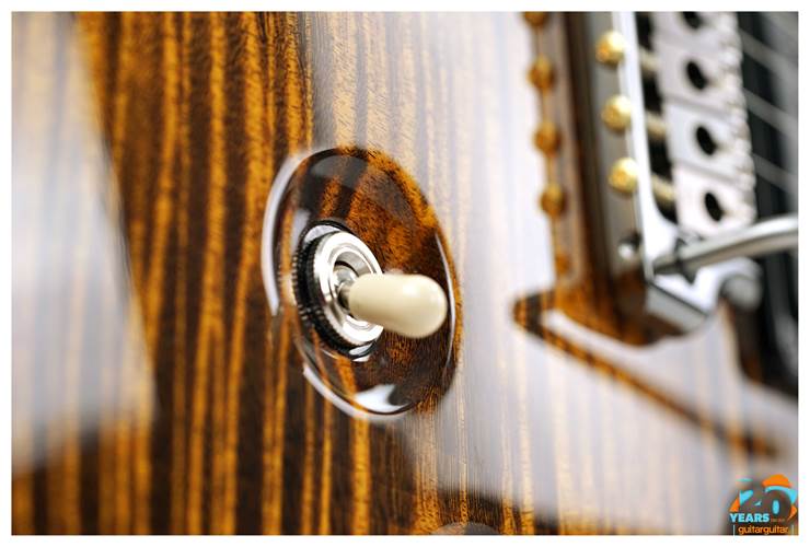 PRS Wood Library Custom 24-08 Yellow Tiger #0377723 PRS Wood Library Custom 24-08 Yellow Tiger #0377723