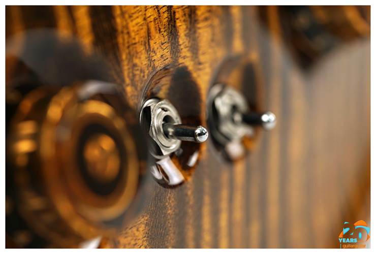 PRS Wood Library Custom 24-08 Yellow Tiger #0377723 PRS Wood Library Custom 24-08 Yellow Tiger #0377723