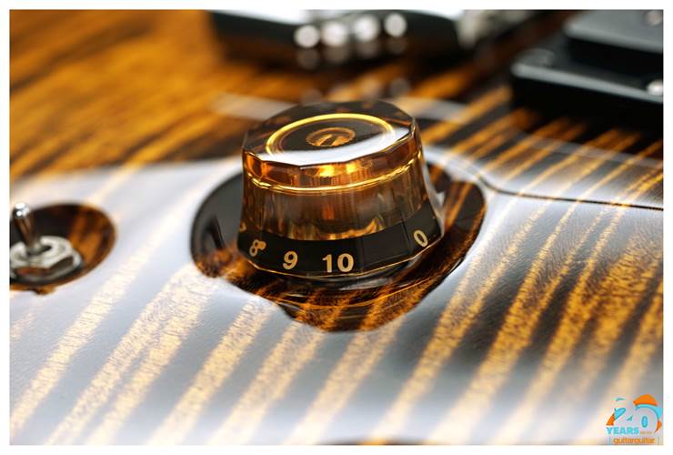 PRS Wood Library Custom 24-08 Yellow Tiger #0377723 PRS Wood Library Custom 24-08 Yellow Tiger #0377723