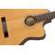 Fender CN-140SCE Natural Front View