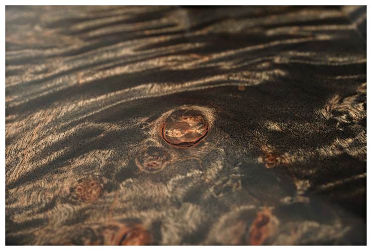 Suhr Custom Standard Burl Maple Top Charcoal Burst #79884 Suhr Custom Standard Burl Maple Top Charcoal Burst #79884