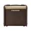 Fishman Loudbox Micro Combo Acoustic Amp Front View