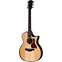 Taylor 50th Anniversary Builder's Edition 314ce Natural Front View