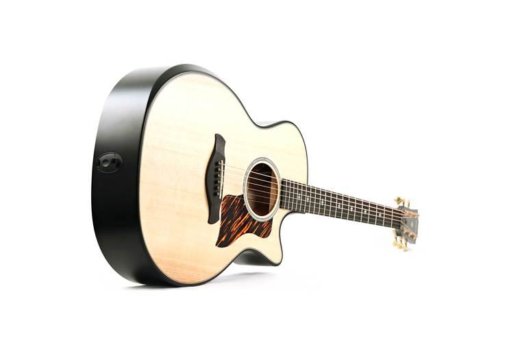 Taylor 50th Anniversary Builder's Edition 314ce Natural Taylor 50th Anniversary Builder's Edition 314ce Natural