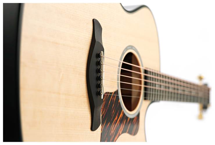 Taylor 50th Anniversary Builder's Edition 314ce Natural Taylor 50th Anniversary Builder's Edition 314ce Natural