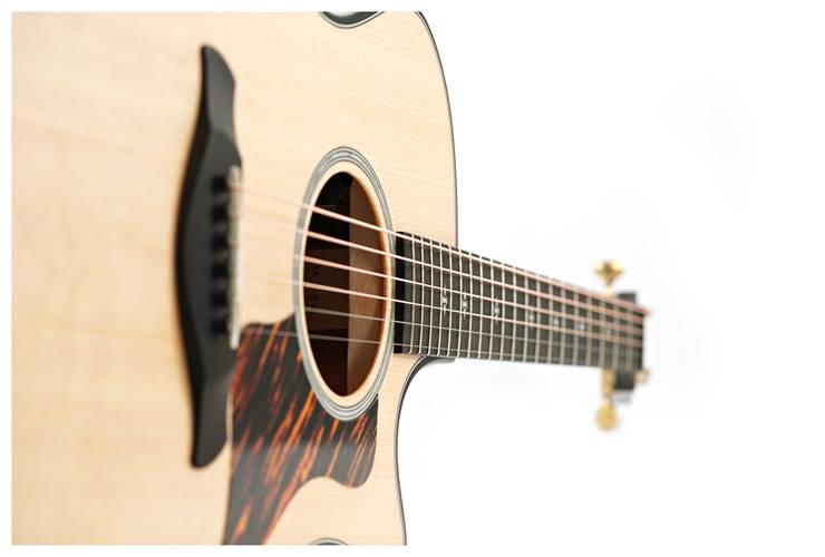 Taylor 50th Anniversary Builder's Edition 314ce Natural Taylor 50th Anniversary Builder's Edition 314ce Natural