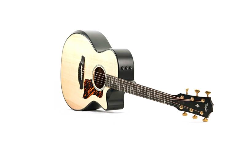 Taylor 50th Anniversary Builder's Edition 314ce Natural Taylor 50th Anniversary Builder's Edition 314ce Natural