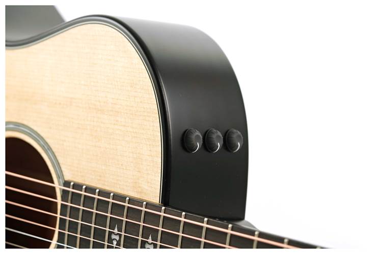 Taylor 50th Anniversary Builder's Edition 314ce Natural Taylor 50th Anniversary Builder's Edition 314ce Natural