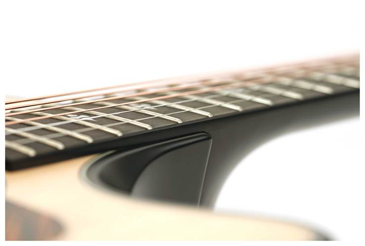 Taylor 50th Anniversary Builder's Edition 314ce Natural Taylor 50th Anniversary Builder's Edition 314ce Natural