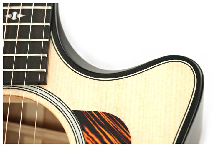 Taylor 50th Anniversary Builder's Edition 314ce Natural Taylor 50th Anniversary Builder's Edition 314ce Natural