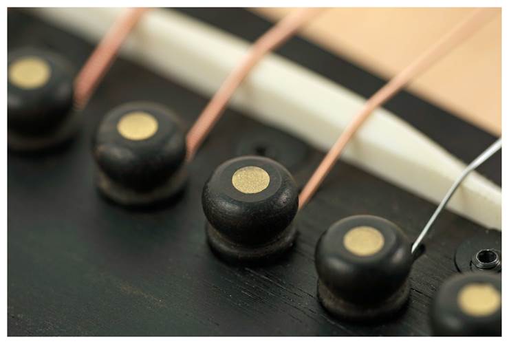 Taylor 50th Anniversary Builder's Edition 314ce Natural Taylor 50th Anniversary Builder's Edition 314ce Natural
