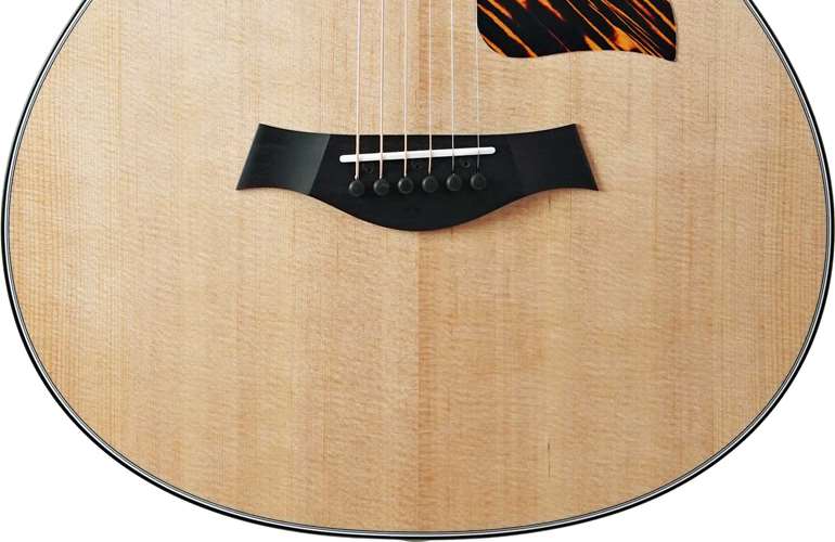 Taylor 312e 12-Fret Grand Concert Taylor 312e 12-Fret Grand Concert