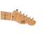 LSL Instruments Era Series T-Bone S/P90 Trans Butterscotch #8167 Front View