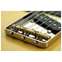 LSL Instruments Era Series T-Bone S/P90 Trans Butterscotch #8167 Front View