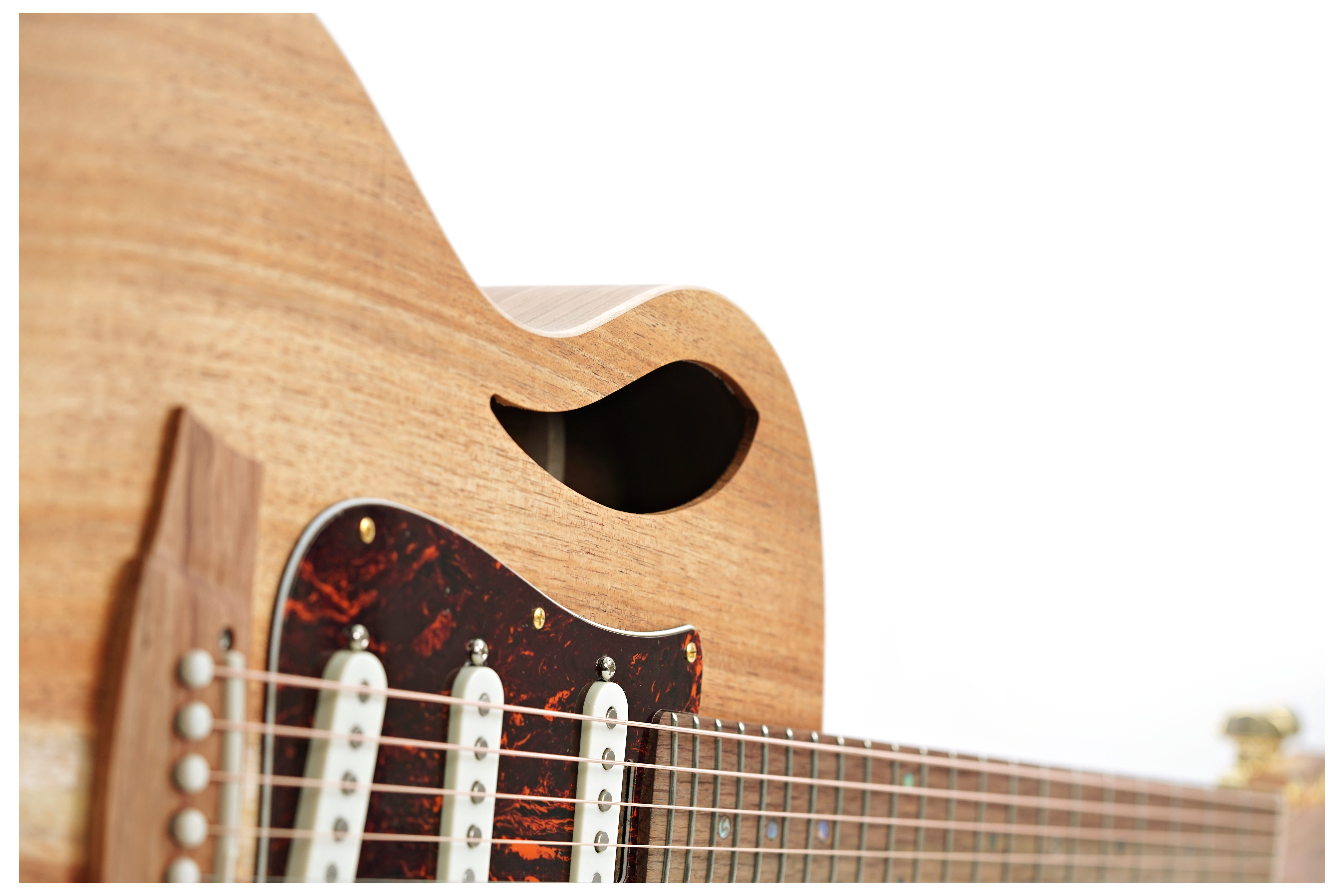 Cole Clark True Hybrid SSS Thinline All Blackwood