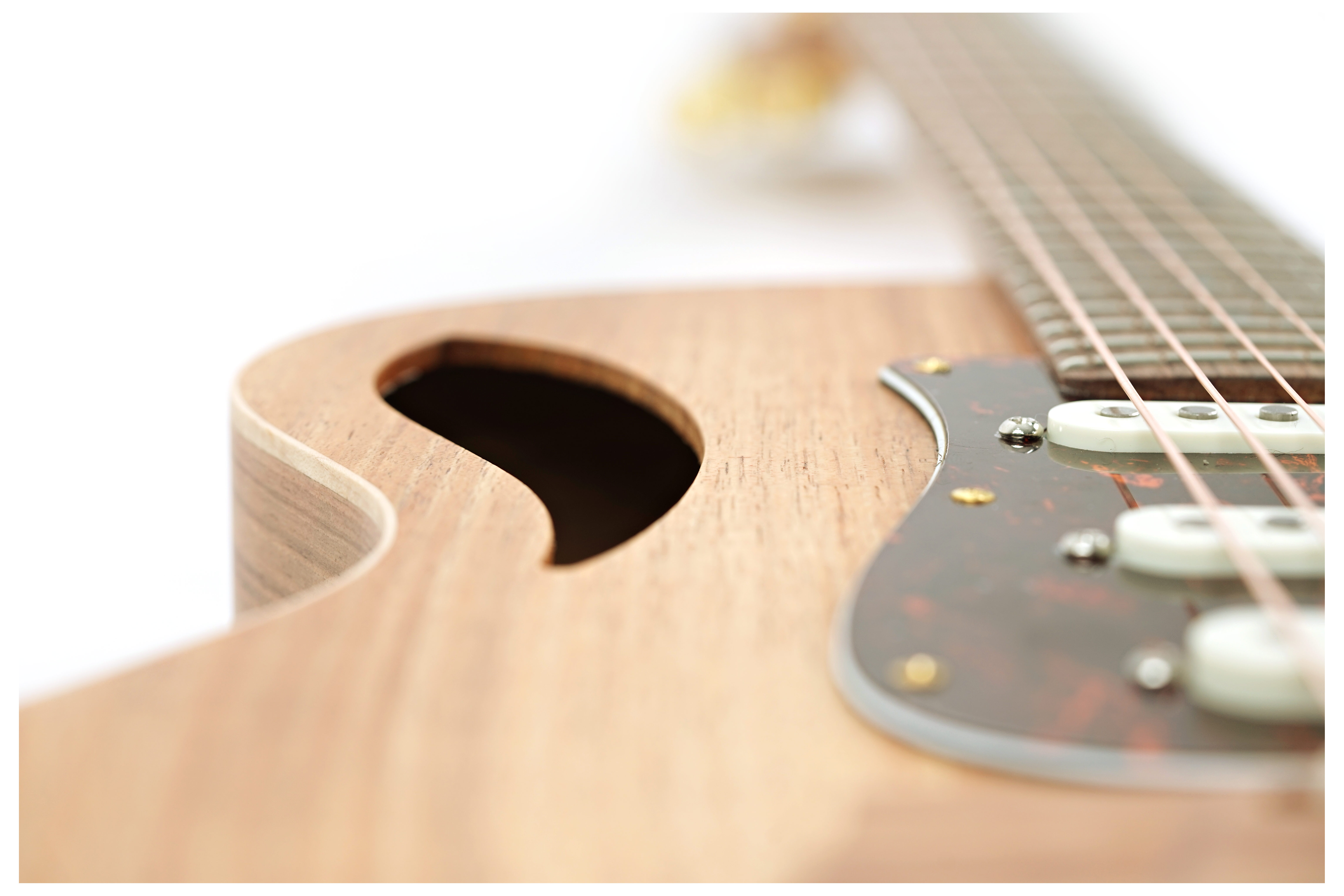 Cole Clark True Hybrid SSS Thinline All Blackwood