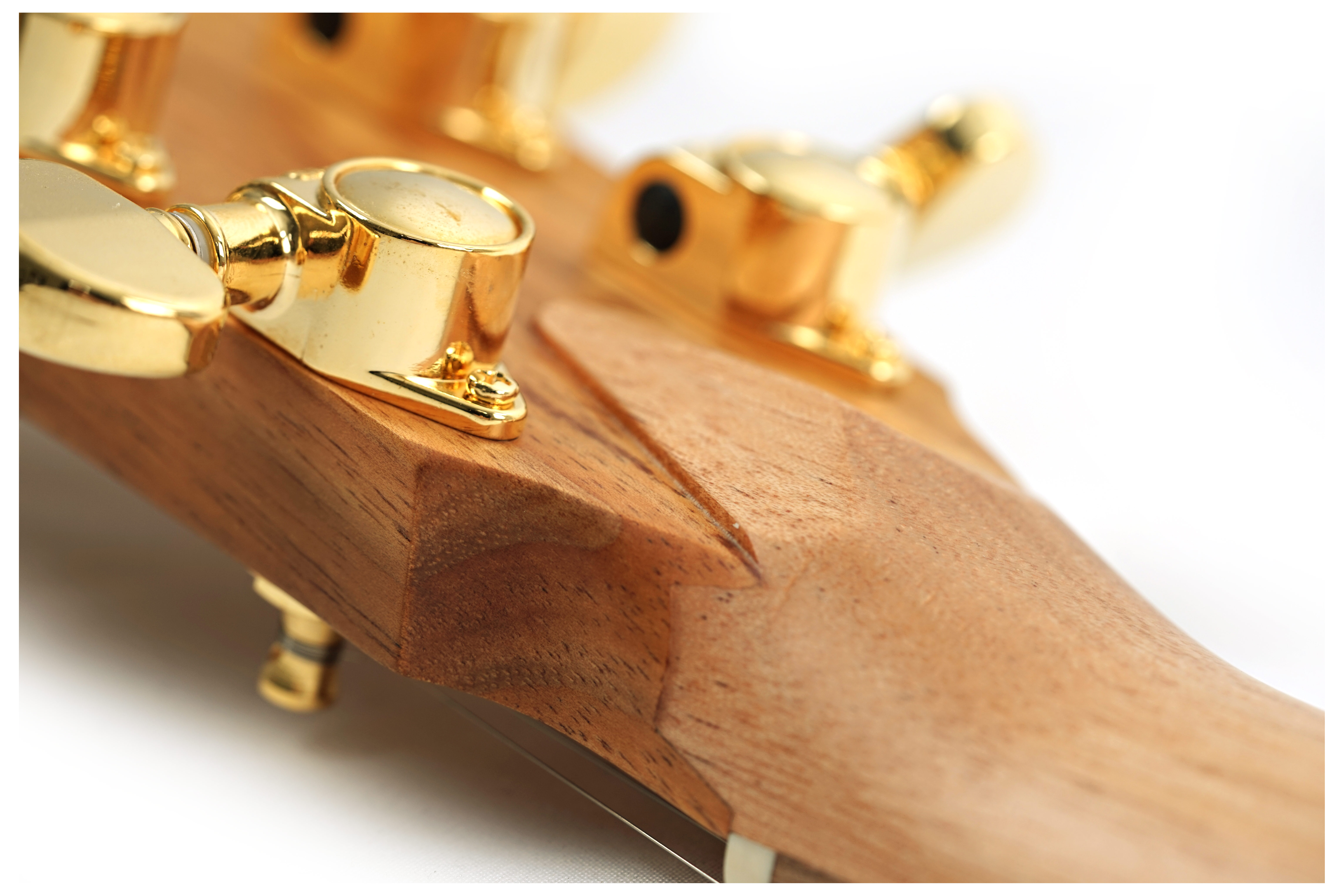 Cole Clark True Hybrid SSS Thinline All Blackwood