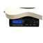 LSL Instruments Era Series T-Bone S/H Vintage Cream #8165 Front View