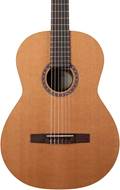 Godin Collection Nylon String Guitar