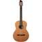 Godin Collection Nylon String Guitar Front View