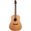 Seagull S6 1982 Collection Acoustic Guitar  Front View