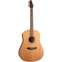 Seagull S6 1982 Collection Acoustic Guitar  Front View
